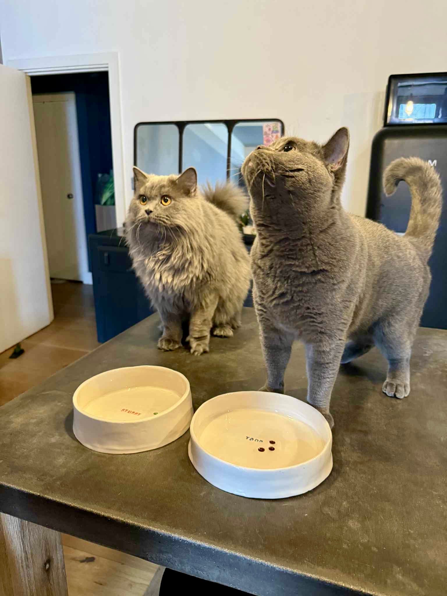 Speckled ceramic mug